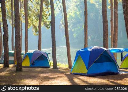 Dancing camping in Pang Ung forest, Mae Hong Son province, Thailand