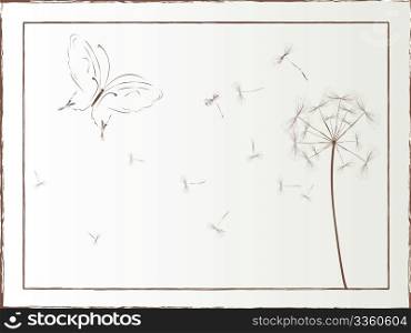 Dandelion and butterfly framed illustration, vector art