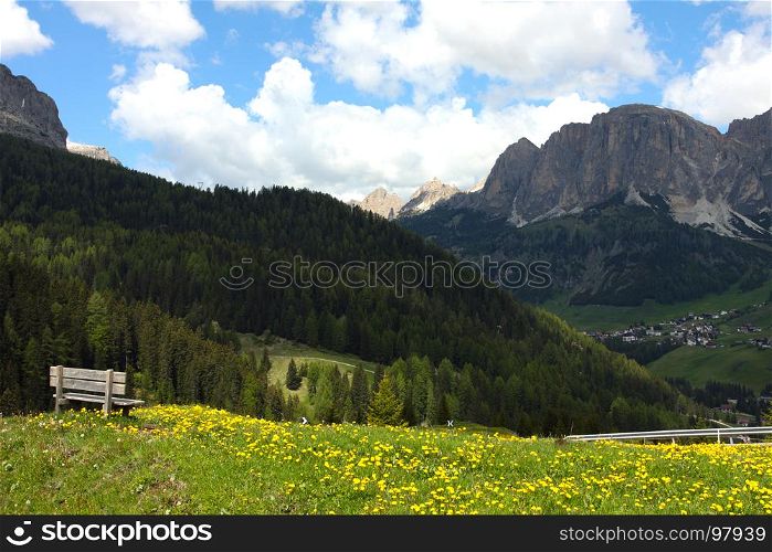 dandelion and mountains in the background, , Italy, Alps