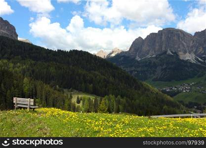 dandelion and mountains in the background, , Italy, Alps