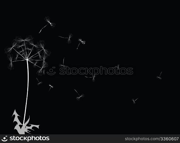 Dandelion design, desktop background illustration