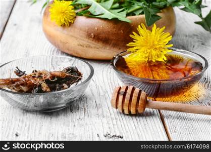 Dandelion honey. Therapeutic components of dandelion roots and honey syrup
