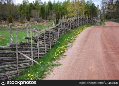 Dandelion road side with old wooden fence in the province Smaland n Sweden.