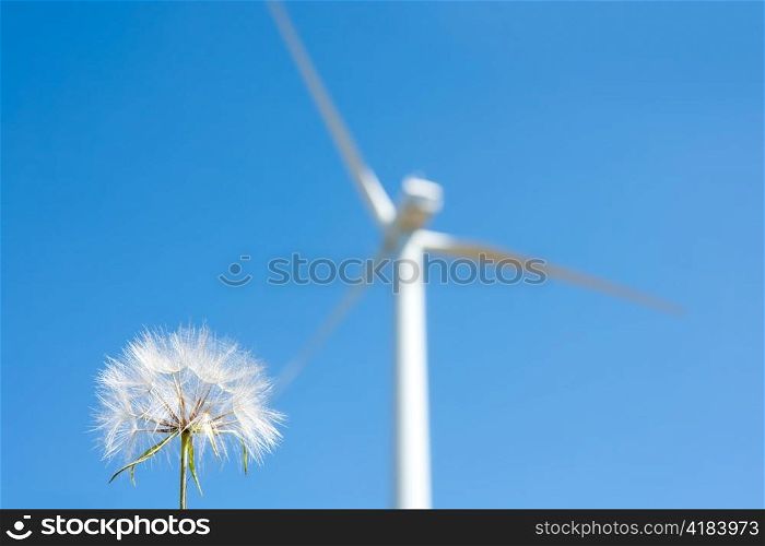 Dandelion with windmill background green energy metaphor
