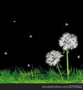 Dandelions and grass in the night, abstract art