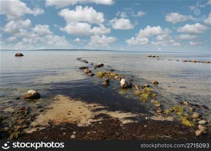 danish coastal landscape in the summer: seaside with rocks