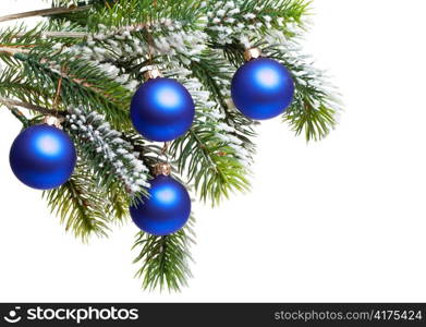 Dark blue New Year&acute;s balls on a snow-covered branch