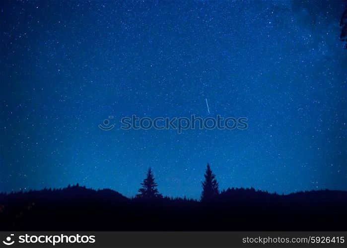 Dark blue night sky above mystery forest with pine trees