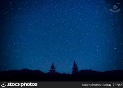 Dark blue night sky above the mistery forest with pine trees