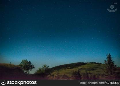 Dark blue night sky with a tree and many stars, galaxy background