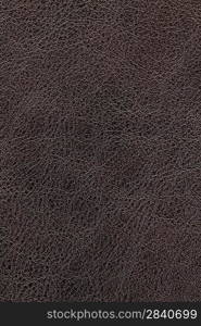 Dark brown leather background