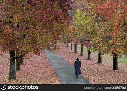 Dark Figure Walking Through Autum Trees