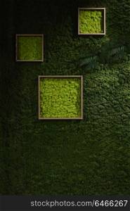 Dark green moss wall background. Dark green moss wall