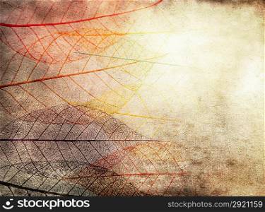 Dark Grunge Texture With Skeleton Leaves For Background