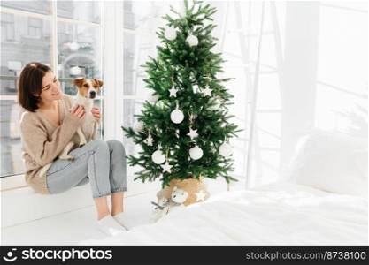 Dark haired young Caucasian lady with pleasant smile plays with pedigree dog, wears sweater, jeans and socks, sits at windowsill near white bed and decorated Christmas tree. New Year holiday