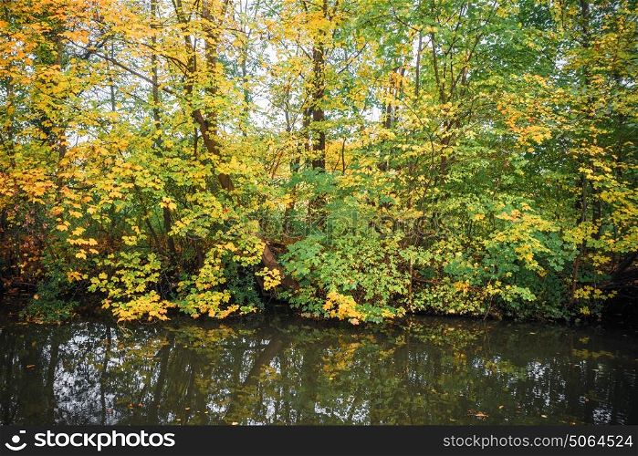 Dark lake with colorful trees in the fall in the autumn season reflection in the water with bright autumn leaves in yellow and green colors