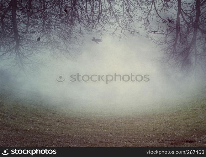 Dark misty landscape with spooky leafless trees, photomanipulation, illustration.