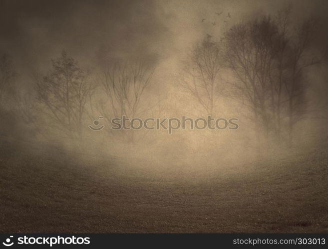 Dark misty landscape with spooky leafless trees, photomanipulation, illustration.