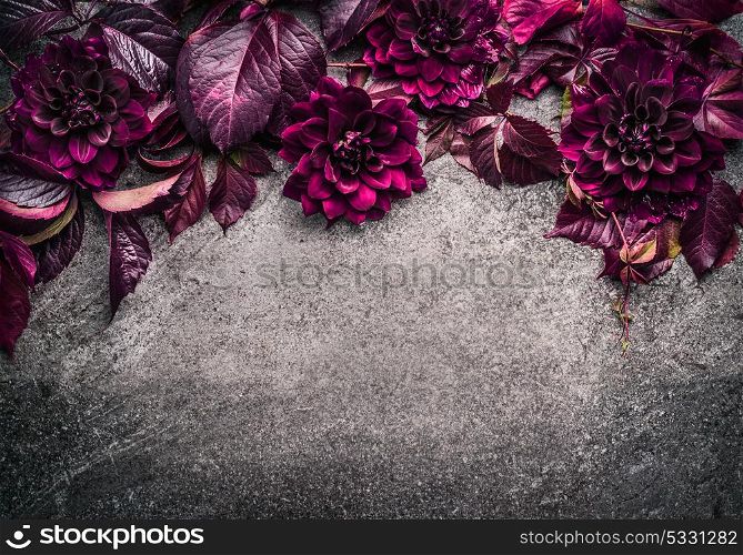 Dark purple floral border with flowers, petal and leaves on gray background, top view, place for text