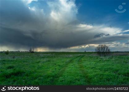 Dark rainy cloud above the green meadow, Czulczyce, Lubelskie, Poland