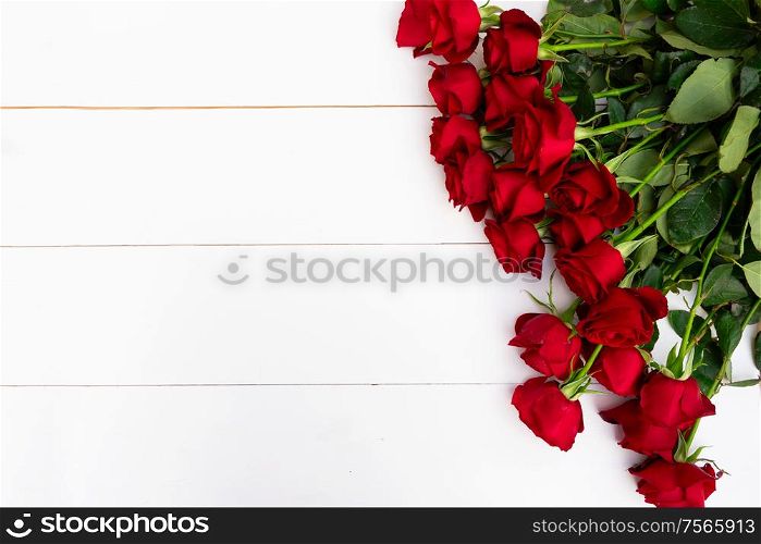 Dark Red buds of valentines day festive roses flowers with ribbon border on white wood with copy space. Red blooming roses on wood