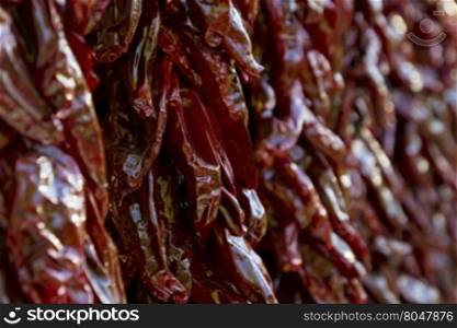 Dark red chili peppers on dried strings in Santa Fe, New Mexico. Close up and selective focus in horizontal image.