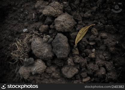 Dark soil background