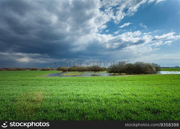 Dark storm cloud over a green field, eastern Poland
