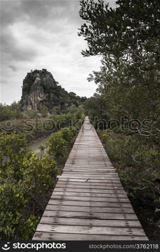 Dark tone of Wooden bridge through the mangrove reforestation