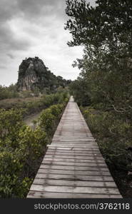 Dark tone of Wooden bridge through the mangrove reforestation