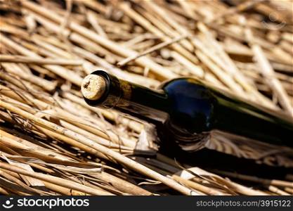 Dark wine bottle with a cork lying in the straw. Dark wine bottle with a cork