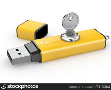 Data security. Information protection. Usb flash memory and key. 3d