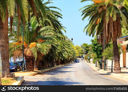 Date palm trees with fiery red fruits grow along the carriageway and give a dense shadow on a clear sunny day in the city of Loutraki, Greece, image with copy space.. Avenue of date palms along a road on the coast of the Gulf of Corinth in Greece.