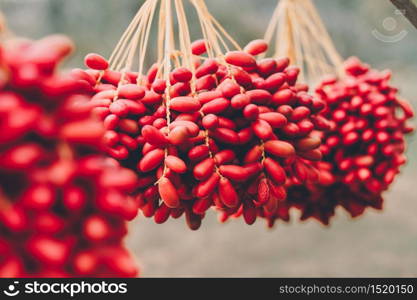 Dates palm branches with ripe dates