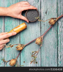 datura plant in folk medicine. Hands with pestle, preparing medicinal potion from medicinal herb