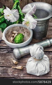 Datura Stramonium. Stems of herbaceous medicinal plants genus Datura Nightshade family with poppy seeds on the background mortar with pestle.