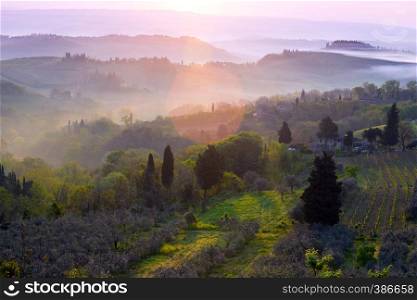dawn - foggy morning at the Toscana with the rising sun beams. Tuscany, Italy