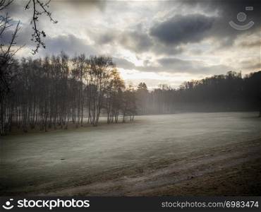 Dawn in the woods, hdr landscape image