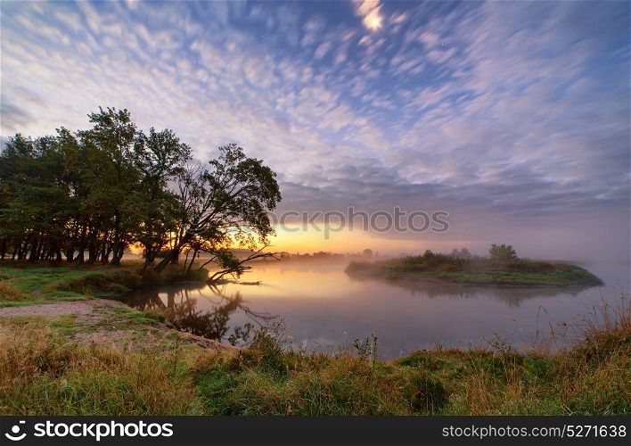 Dawn, misty morning on a river. Fantastic foggy river with oaks on a riverbank. Sunrise, dramatic colorful scenery.