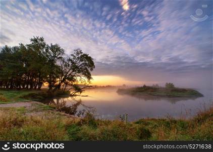 Dawn, misty morning on a river. Fantastic foggy river with oaks on a riverbank. Sunrise, dramatic colorful scenery.