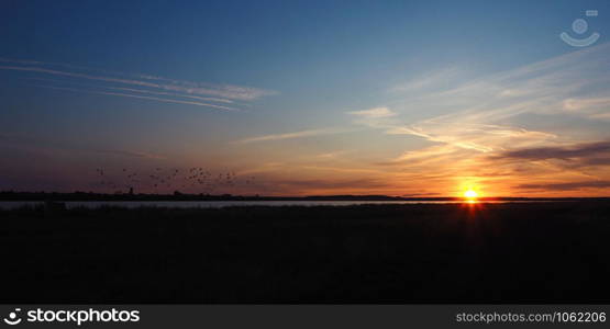 Dawn on the lake in the summer. Sun rays, silhouettes of flying birds and beautiful clouds.