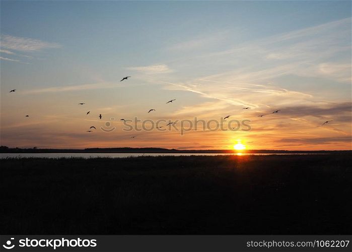 Dawn on the lake in the summer. Sun rays, silhouettes of flying birds and beautiful clouds.