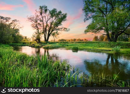 Dawn on the river with green grass and trees on the shore. Green clean planet concept. Dawn on river with green grass and trees on shore