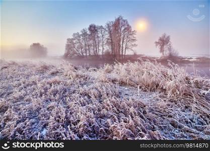Dawn on winter river. Frost on grass, cane. Moon in clean sky. February fog. Wood sunrise. Cold Night Weather landscape, reflection in water. Europe morning rural scene