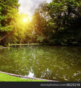 Dawn over small lake in woods