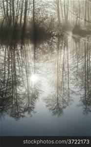 Dawn photo of trees reflected in a misty lake.