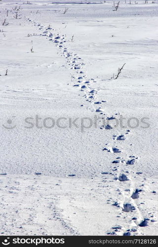 Day view of human traces on snow in the field. Vertical view