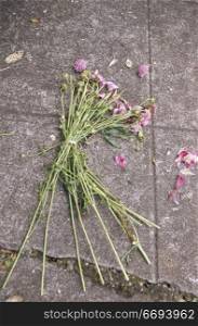 Dead Bouquet on Sidewalk
