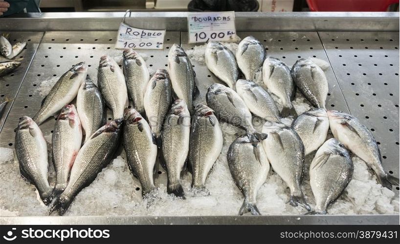 dead freh dorade fish on the market in portugal