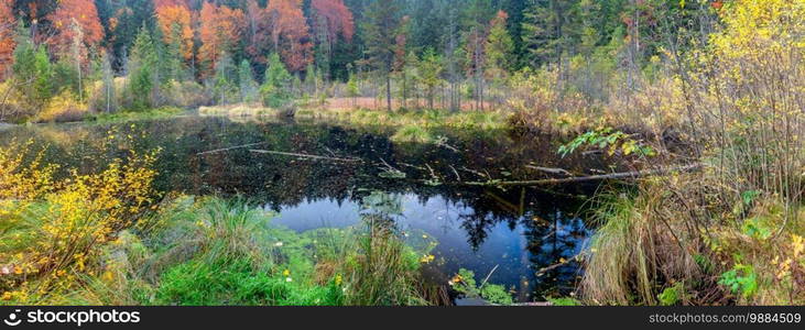 Dead mountain lake in the Carpathian mountains. Ukraine.. Carpathians. Crane Lake.